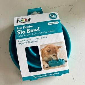 Slow feeder dog bowl